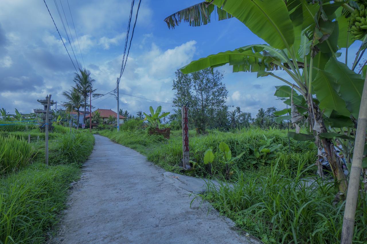 Vinayaka Ubud Eksteriør billede